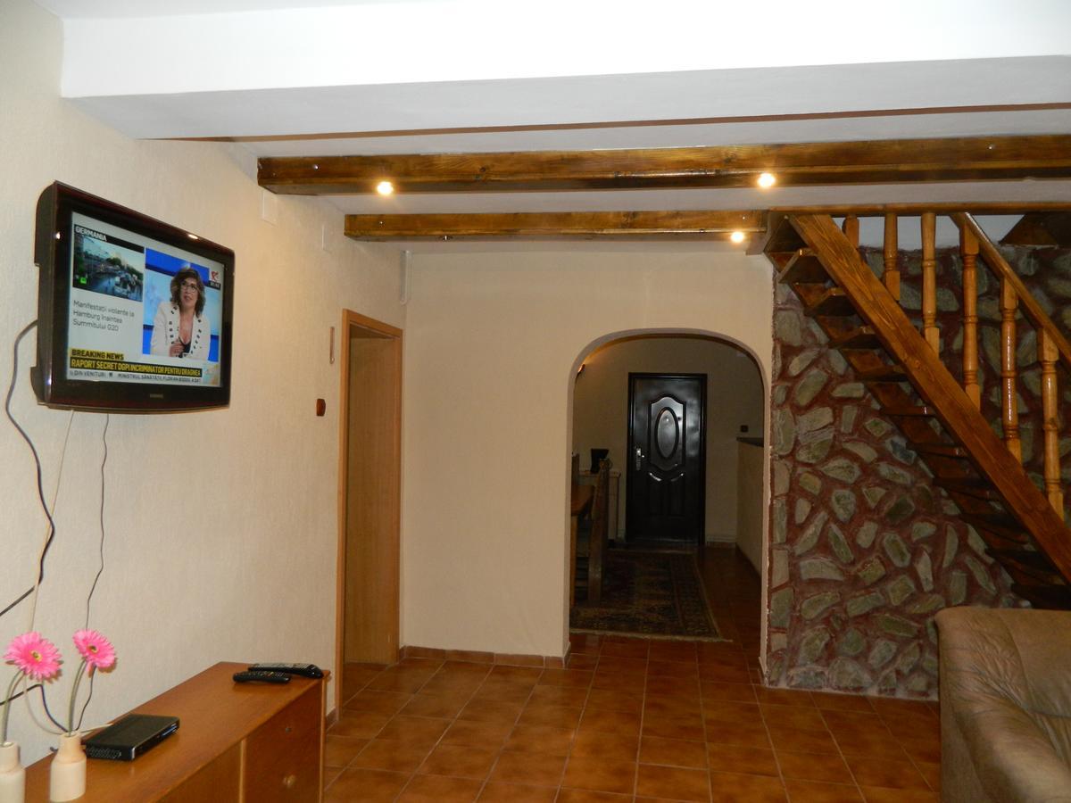Villa Cabana Florea à Rîu de Mori Extérieur photo