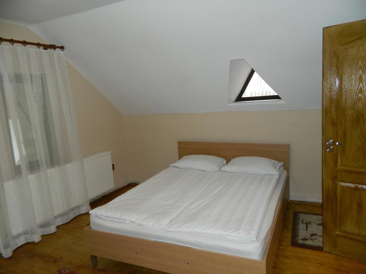 Villa Cabana Florea à Rîu de Mori Extérieur photo