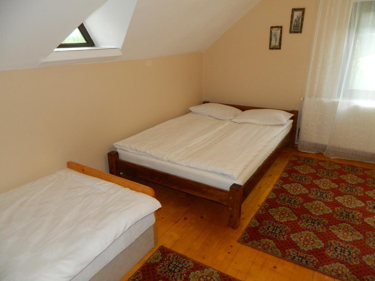 Villa Cabana Florea à Rîu de Mori Extérieur photo