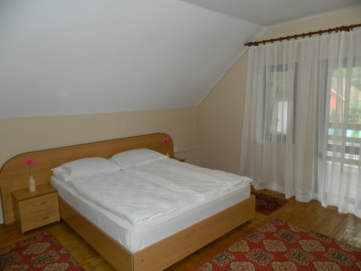 Villa Cabana Florea à Rîu de Mori Extérieur photo