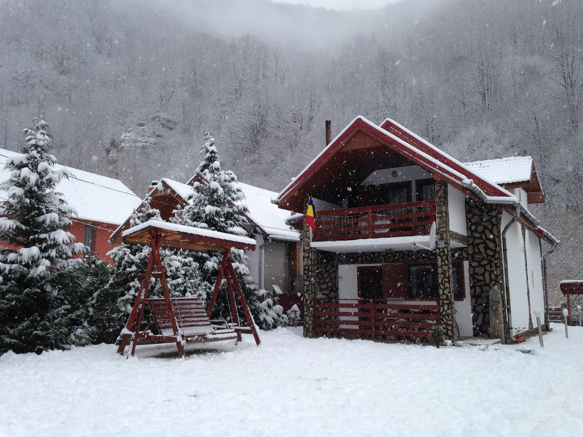 Villa Cabana Florea à Rîu de Mori Extérieur photo